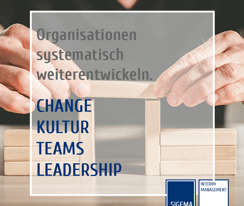 Wir entwickeln Organisationen systematisch weiter. Gemeinsam mit Ihnen.